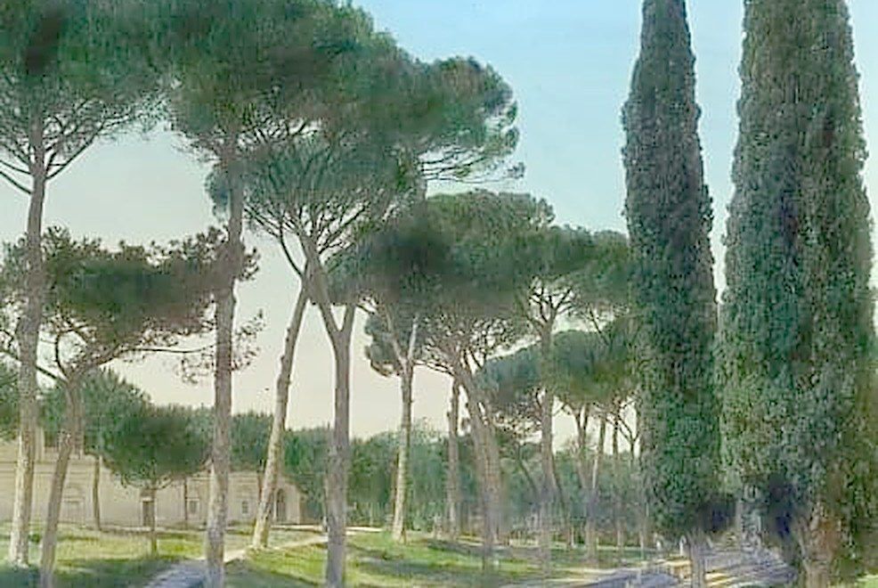 Landscape